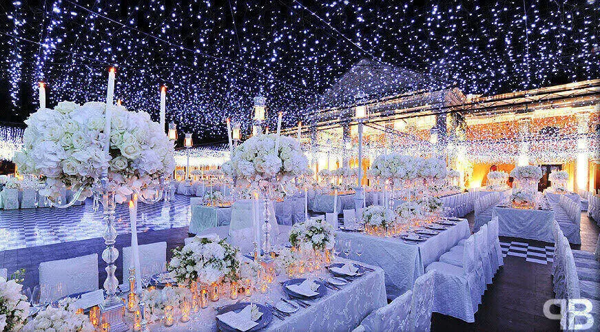 Winter Wonderland Wedding Reception Image